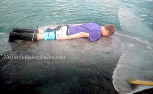 justinbieberplankwhale Justin Bieber planking on the back of a whale!! 2011